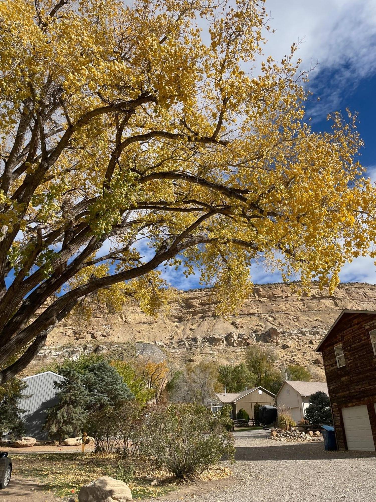 Palisade The Homestead מראה חיצוני תמונה